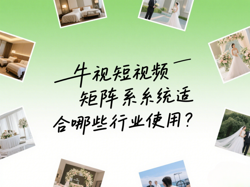牛视短视频矩阵系统适合哪些行业使用？ 